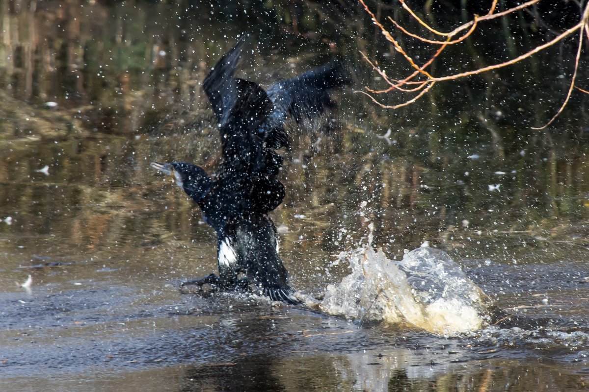 foto: [20220309PV6244]